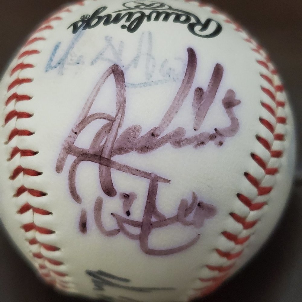 2009 Minor League Spring Training Autographed Detroit Tigers Rawlings Baseball